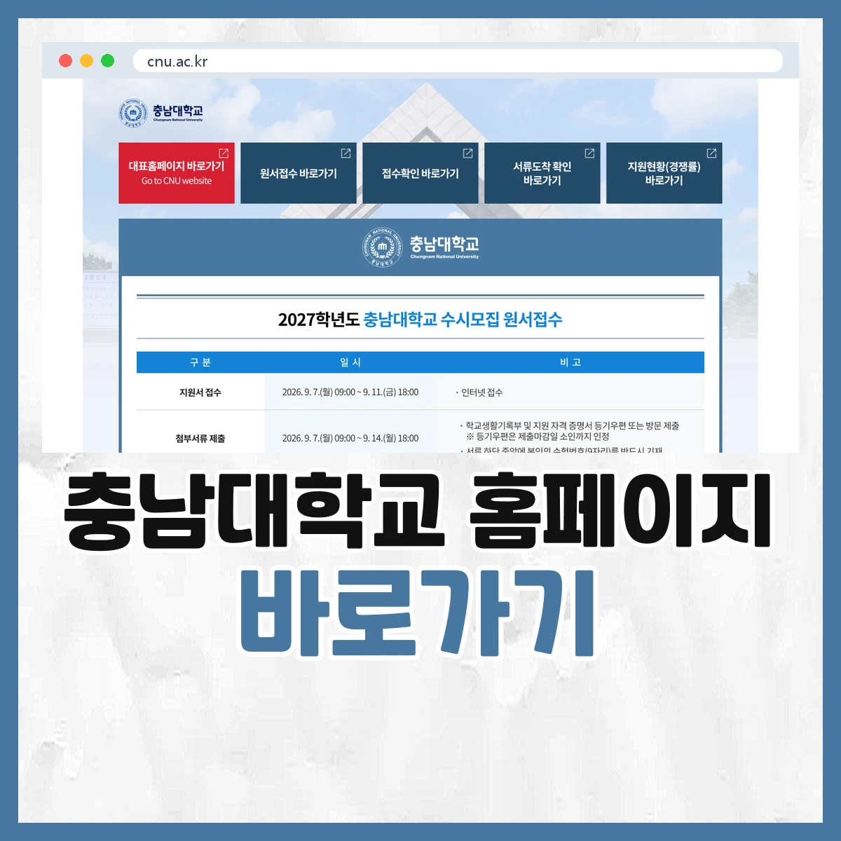 다음팟플레이어