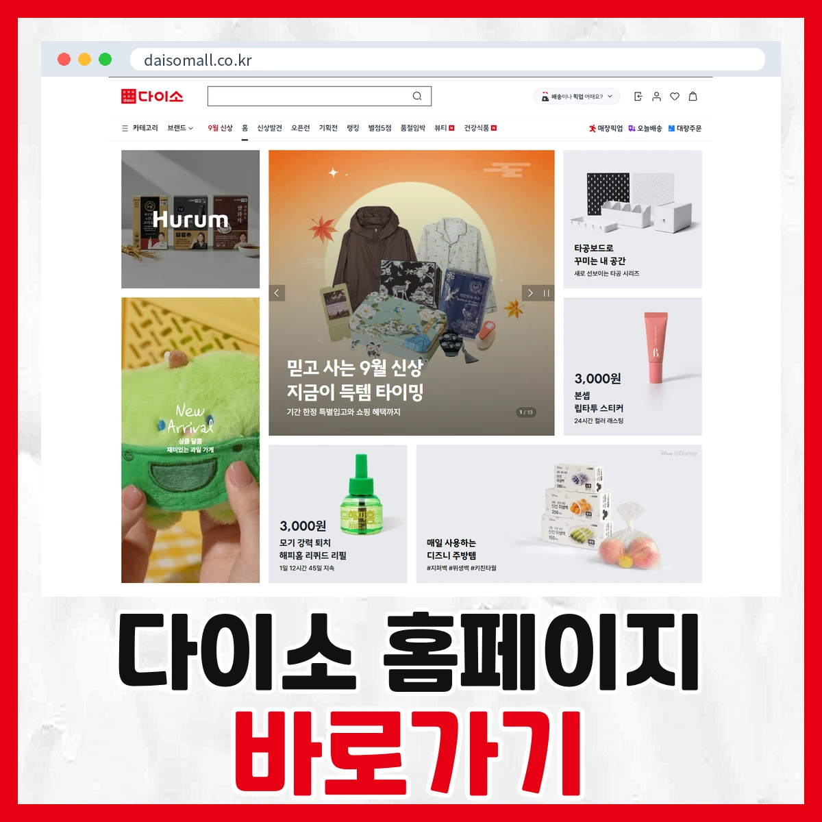 다이소