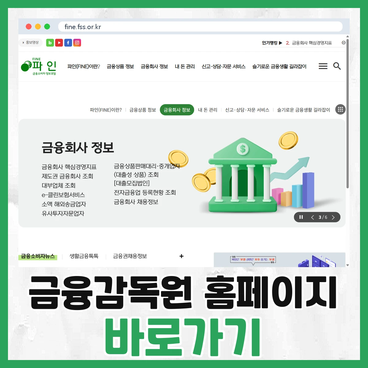 파인 금융소비자정보포털